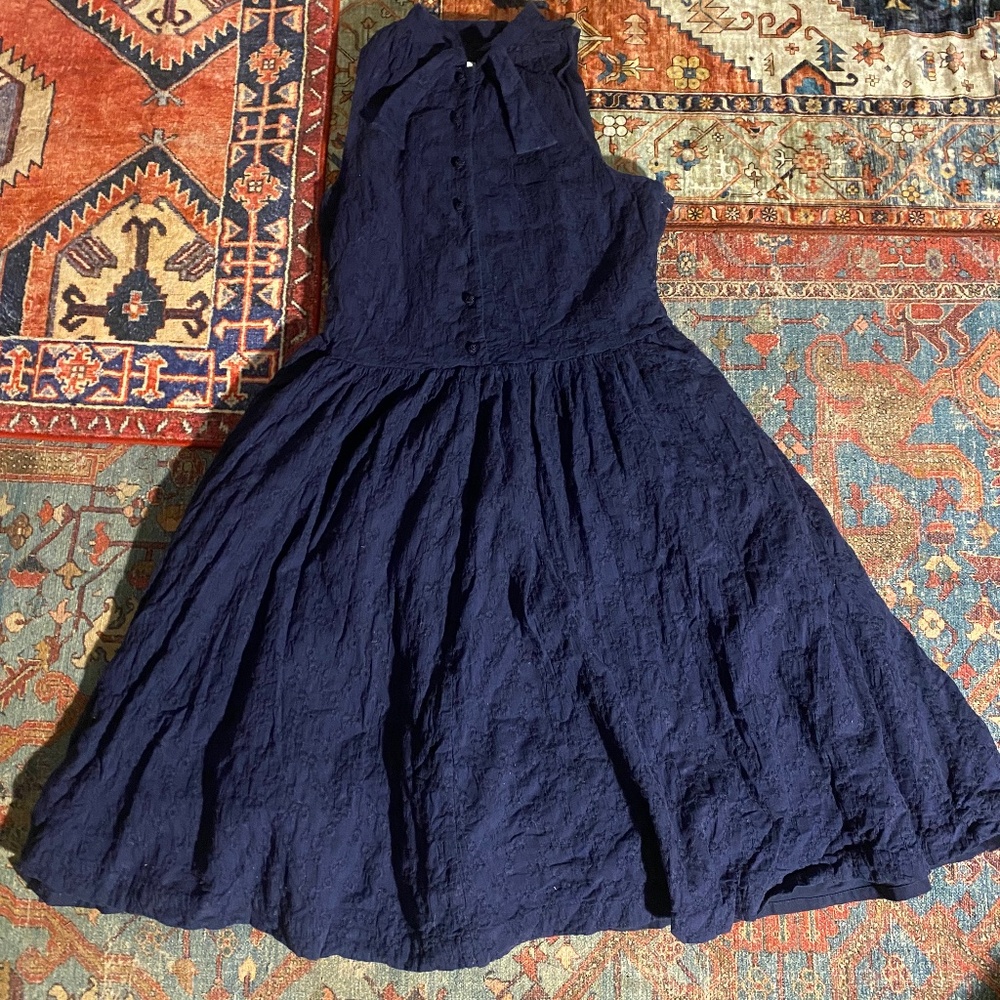 Dark Navy Isaac Mizrahi Embroidered Cotton Dress